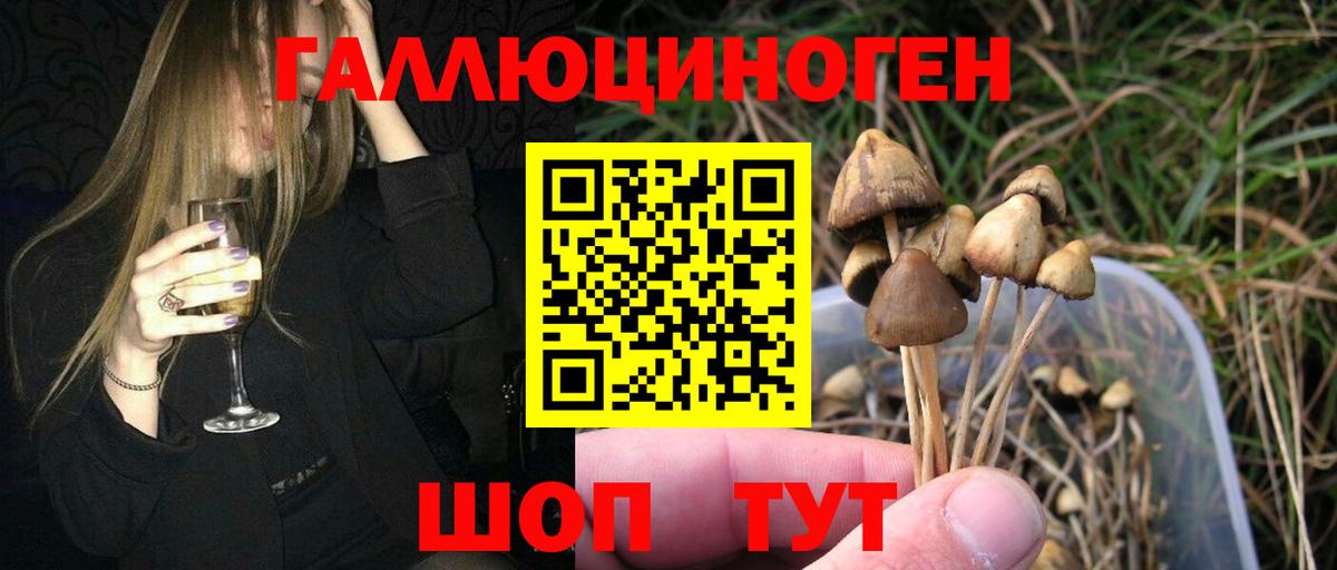 Псилоцибиновые грибы прущие грибы  Вход с VPN  Конаково 